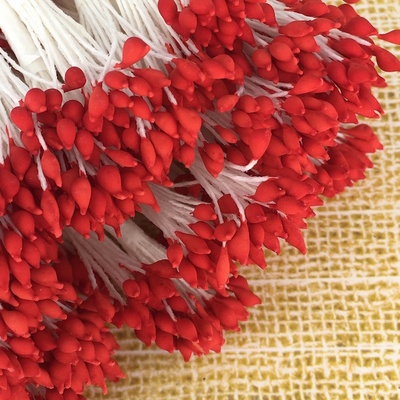 Тайські тичинки, двосторонні, каплеподібні червоні головки, 46-52 шт.