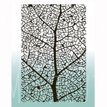 Папка для тиснения «Под микроскопом» от Mimicut