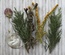 Набор сушеных хвойных веточек и лепестков