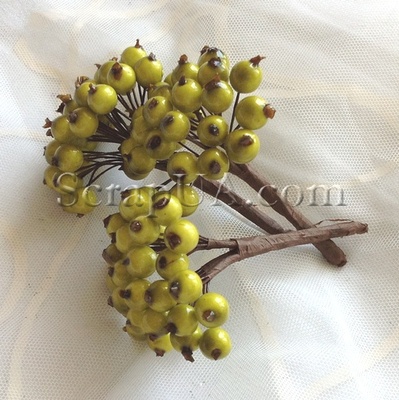 Ягоди круглі, колір зелений, пучок з 32 штук