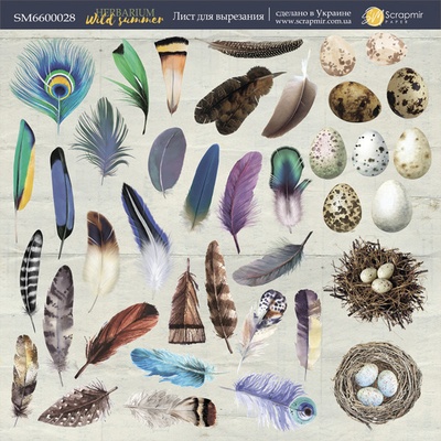 Аркуш одностороннього паперу 20x20см Аркуш для вирізання Herbarium Wild summer від Scrapmir