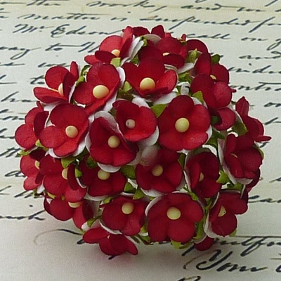 Цветочки любви - sweetheart, цвет белый с красной серединкой, диаметр - 15мм, 10 шт.