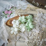 Набір квітів Фентазі, шампань - ніжний салатовий від WOODchic, 4,5см, 6шт.