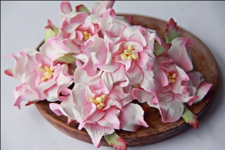 Гардения, диаметр 5 см, цвет розово-белый, 1 шт.