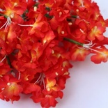 Анютині очі, колір червоного- помаранчевого