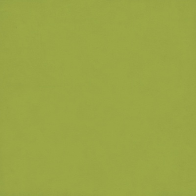 Аркуш скрап-паперу Echo Park - Black / Lt. Green, 30x30 см