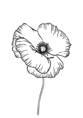 Акриловый штамп FL024 Мак, размер 2,5 * 3,8 см