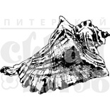 Акриловый штамп "Ракушка средняя"