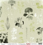 Бумага для скрапбукинга от ScrapBerry's 30х30см односторонняя Гербарий