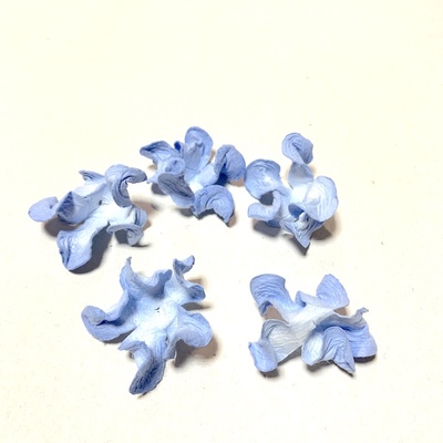 Гортензія хвиляста, блакитна, 5 пелюсток, 45 мм, 20 шт.