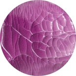 Кракелюрный гель ТМ "ScrapEgo "- Вересковый, 60мл