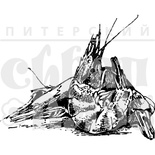 Акриловий штамп "Королівські креветки"