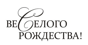 Акриловий штамп SR113b Веселого Рождества, розмір 5x2,3 см