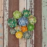 ЦЕНА СНИЖЕНА! Набор цветов Prima - Free Spirit Flower - Far Out