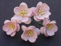 Цветы вишни, цвет бледно-розовый, диаметр - 25мм, 5 шт.