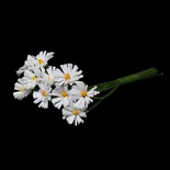 Хризантеми білого кольору, квіточки 12-13 мм, стебло 10 см, 10 шт.