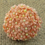 Квіточки Sweetheart, персиковий, 10мм, 10 шт.