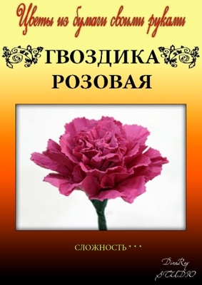 Набір паперу для виготовлення квітів - гвоздика рожева