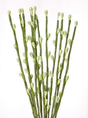 Веточки весенние с почками, зеленые, 20 см, 12 шт. HY0010019493