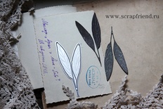 Ніж для вирубки від Scrapfriend - Листок шавліі, 3 x8см