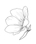 Акриловый штамп FL028 Цветок, размер 3,2 * 4 см