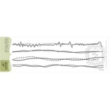 Акриловый штамп Lesia Zgharda F079 Швейная строчка любительская 3, 4 штуки, 19х13.5 см