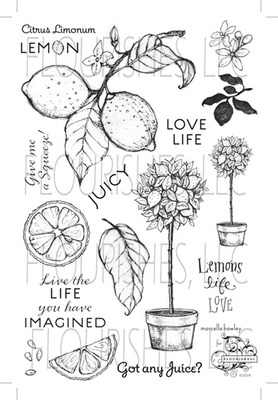 Набор акриловых штампов от Flourishes - Life, Love and Lemons Stamp Set