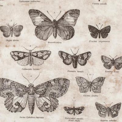 Ткань 100% хлопок - Tim Holtz Eclectic - Butterflies-Taupe, 45х55 см