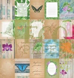 Набір карток від EcoPaper "Тропікана"