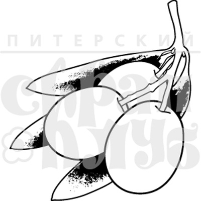 Штамп від ПСК - Греція, Оливки, 3х3.3 см