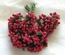 Гілочки з маленькими ягідками, червоний колір, 1 пучок з 12 штук