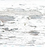 Лист односторонней бумаги от Евгения Курдибановская TM - "Белое дерево" -  "WINTER", 30х30 см