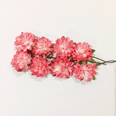 Айстри з паперу, коралові, 8 шт.