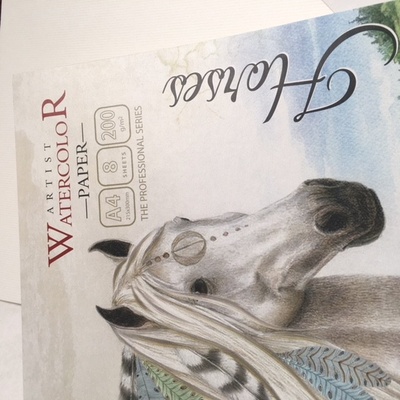 Набор бумаги для акварели, размер а4, 8 листов, плотность 200 г/м2