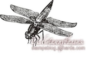 Акриловый штамп FA039 Стрекоза, размер 4,3 * 2,3 см