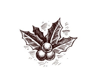 Акриловий штамп Christmas Stamp SR030 Гостролист, розмір 3,1х2,5см