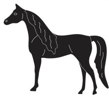 Ніж для вирубки Arabian Horse від Cheery Lynn Designs - арабський скакун, C102