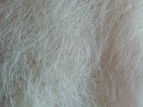 Сізаль натуральний, колір білий (молочний), 100