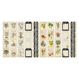 Набір смужок з картинками для декорування Botany exotic exotic 5 бл. 5x30,5см, ТМ Фабрика Декору