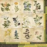 Карточки Botany summer (рус.), ТМ Фабрика Декору