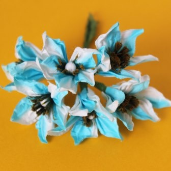 Квітибіло-беризові, діаметр 3-4 см, 6 шт.