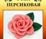 Набір паперу для виготовлення квітів - троянда персикова