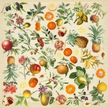 Набір картинок для вирізання Фрукти екзотичні 30,5х30,5см, ТМ Фабрика Декору