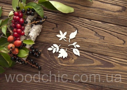 Чипборд Набір листя від WOODchic, 2.5 на 2.5см