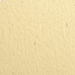 Дизайнерская бумага Flora camoscio, размер: 30х30, цвет: бежевый светлый, 100 г/м2, 1 шт