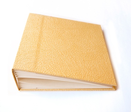 Заготовка для фотоальбома Фабрика Декора - Золотая кожа, 20х20 см