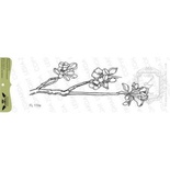 Акриловий штамп Lesia Zgharda Гілочка квітучої яблуні FL119a, 10,4*4см