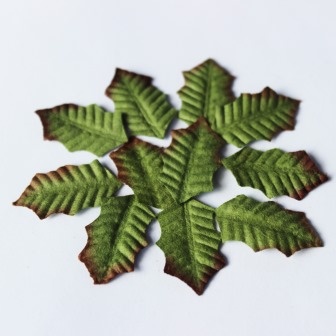 Листики остролиста, 18мм х 30мм, 10 шт.