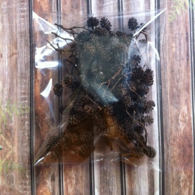 Шишечки вільхи, колір коричневий, близько 100 шт.