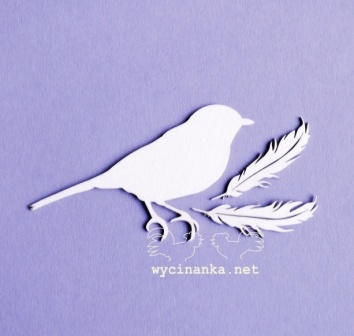 Чипборд від Wycinanka - Пташка і Пірʼїнки
